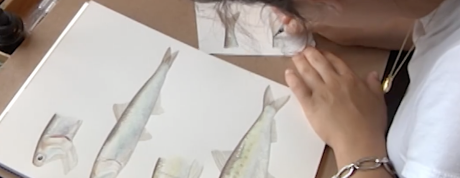 Art Being Used to Inspire Others to Learn More About Ocean Life