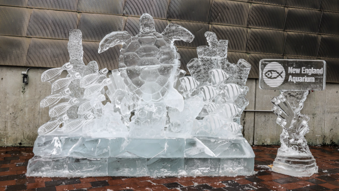 New England Aquarium Ice Sculpture for Boston’s First Night