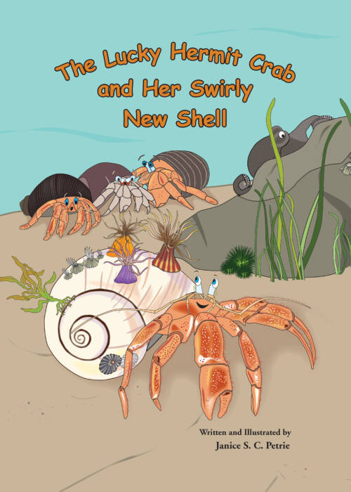 The_Little_Hermit_Crab_&_Her_Swirly_New_Shell_Cover_Spread_Clipp