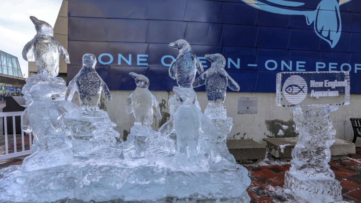 African Penguin Ice Sculpture is New England Aquarium’s Choice for Boston’s New Years Eve First Night 2022-23